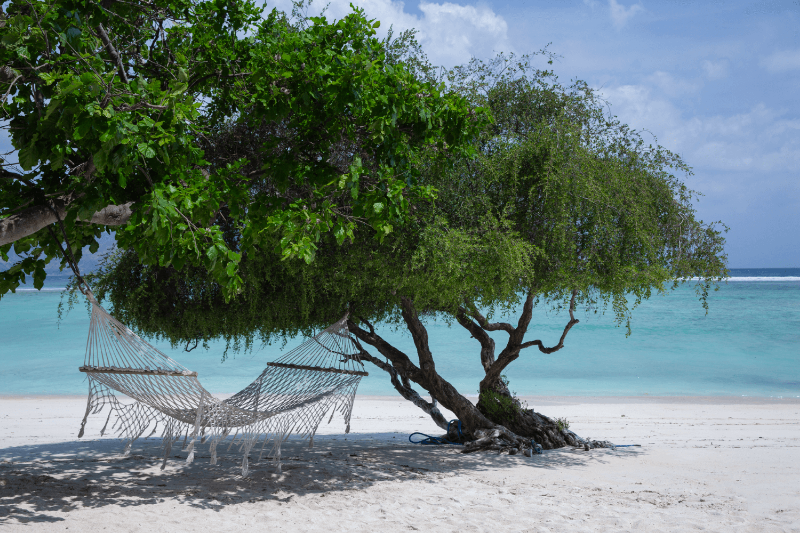 A serene hammock swaying between palm trees on the beach at Pondok Santi Estate, Gili Trawangan, overlooking the turquoise ocean.