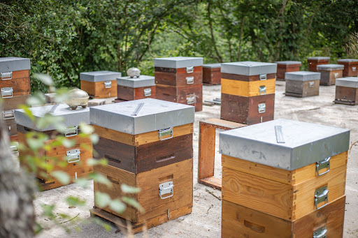 15 beehives at Souleuvre Viaduct, supporting local pollinators and eco-friendly initiatives.