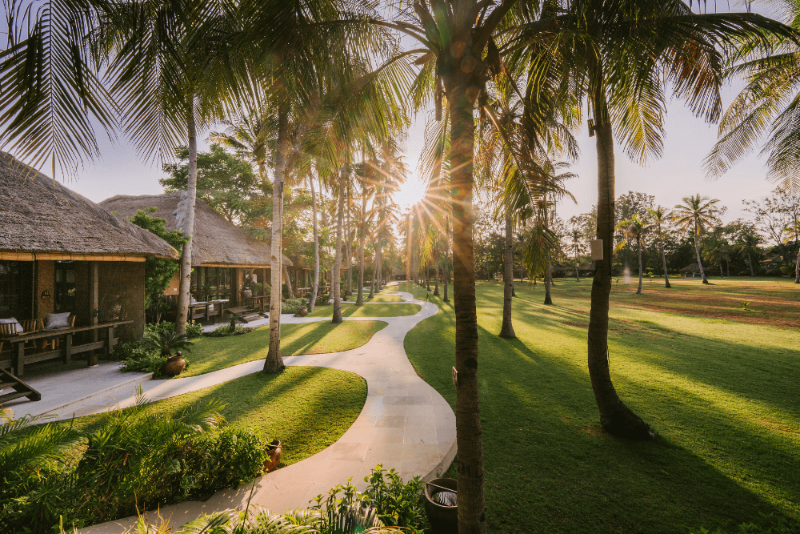 Morning light at Pondok Santi Estate, Gili Trawangan.