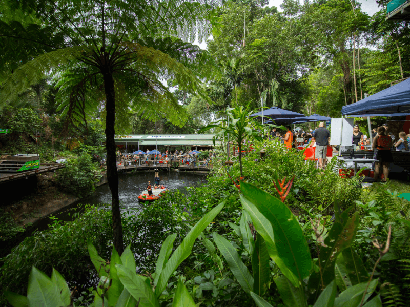 Lush, vibrant plants and diverse fauna surrounding the Skypark Cairns site, highlighting its natural beauty.